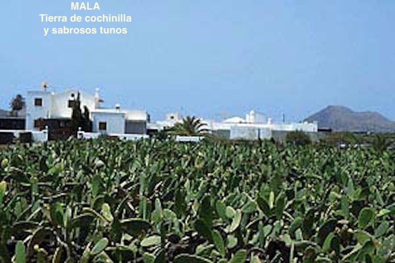 Casa "Gara" Mala-Lanzarote Norte Ngoại thất bức ảnh